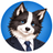 Sales Collie｜営業支援
