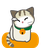 midorineko