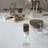 Wol_12