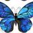 Morpho＊garden shop