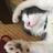 chacha_tk