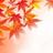 紅葉～もみじ～