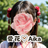 縁結び♡霊視タロット占い師♡愛花