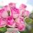 Rose　〜GraceBless主宰〜