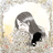 ひかるオアシスルーム＊LTreading