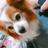 nachi0318