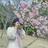 Hotaroom