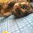 PISCES　OF　MARCH