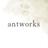ant works
