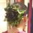 Maria Elin