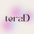 テラD（システム開発・プログラミング）