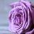 ascended master life