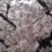幸祈YUKI