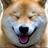 プロデザインあらい