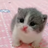けだま_