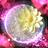 hasumi∞