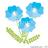 yama222