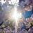 webspot151