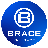 BRACEinc