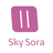 sky1231
