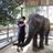 zoovet1122