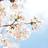 Kazuo_