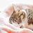 ねこパンチ