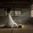 復縁 専門 鑑定士 天(ソラ)