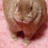 エリィー