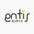 entis_1299