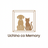 Uchino co Memory