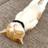 ねるねこ