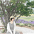 tbt_design 田畑美沙希