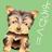hacchi_s