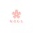 桜花もも