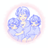 あいるり　ailuri