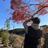 suke_videographer