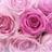 pink heart