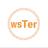 wsTer｜Project Team