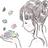 えんじゅ★星よみ隊