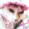 たぁちゃん313