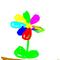 yukka web desiner