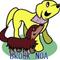 brook noa