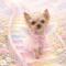 peachjun1225