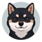 Kage_DTMstudio