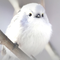シマエナガ94