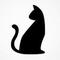 Cats Tail