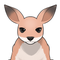 Kangaroopyonpyon