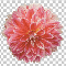 m1wq1013