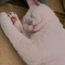 Momo_7